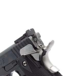 Eemann_Tech_1911_2011_Ambi_Safety